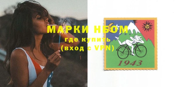 шишки Бронницы