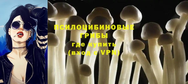 прущая мука Белоозёрский