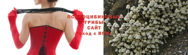 МДМА Бородино