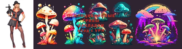 МДМА Бородино