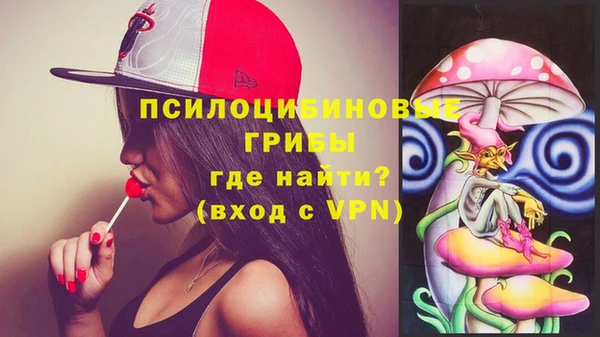 МДМА Бородино