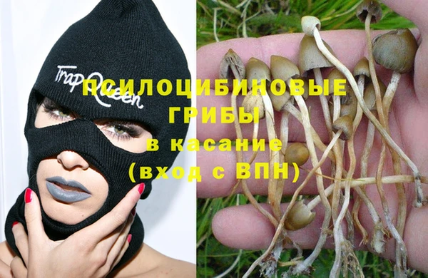 синтетический гашиш Верхний Тагил